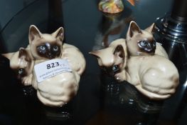 2x Groups of Siamese Cats