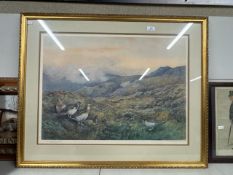 Framed print of ptarmigan in the Scottish highlands signed C.S.Jodd 91cm W x 74cm H