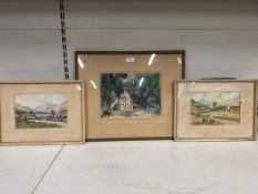 3 x framed watercolour paintings - Largest 53cm W x 43cm H