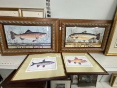 4 x framed prints of fishes (Largest Two = 65cm W x 42cm H