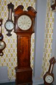 Victorian Long Case Clock by Benjamin Smith of Alfreton with Painted Face Depicting Birds