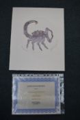 'Scorpio' etching with water colour signed Image