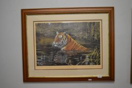 Limited Edition Framed Print of a Tiger by John Mold No. 474 of 600