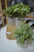 6x Artificial Herb Plants