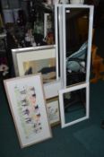 Framed Pictures, Prints, and Mirrors