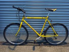 Luis Mcqueen Spirit Breaks Yellow 21