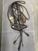 Sabre Hunt Full Size Double Bridle with Raised Brow & Nose Band 2002 Havana