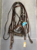 Stubben Double Bridle Full Size in Choco Code: 1085 RRP: £220