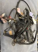 Quantity Of Various Horse Tack - Bridles, Head Stalls, etc. RRP: £150