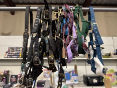 Quantity of headcollars, various colours and sizes