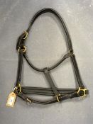 Full Size Black Leather Padded Head Collar with Brass Fittings