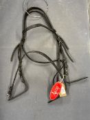 Dever Ascot Bridle Cob Black