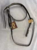 Sabre Nose Band Hunt Flash Raised and Padded in Black - 261-O/S