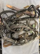 Quantity Of Various Horse Tack - Bridles, Head Stalls, etc. RRP: £150