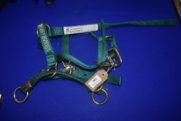 Monty Roberts Green Dually Size: Small Pony