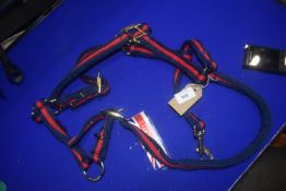 Aerborn Blue & Red Head Collar