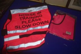 2x Pink Hi-Vis Tabards