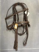 English Leather Bridle and Rubbered Reins Flash Nose Cob Brown with Padded & Raised Brow and Nose