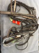 Quantity Of Various Horse Tack - Bridles, Head Stalls, etc. RRP: £150