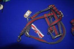 Aerborn Red & Grey Head Collar