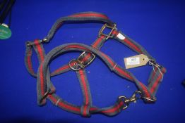 Aerborn Red & Grey Head Collar