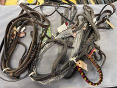 Quantity Of Various Horse Tack - Bridles, Head Stalls, etc. RRP: £150