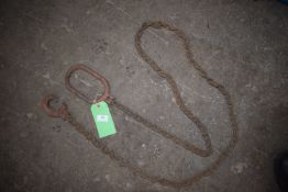 *~2.5m Chain with KC7 Hook, and an ~2m Chain Hoop