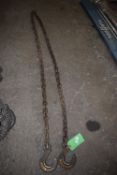 *~3.5m Chain with Hooks