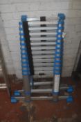 *MacAllister Twelve Rung Extending Ladder