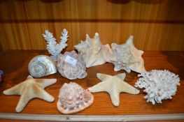 9x Shells and Corals etc.