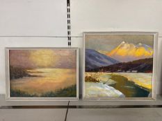 2 x oil on canvas paintings, one signed the M.G.Hatfield, the other has a painting on the reverse