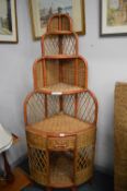 Bamboo and & Wicker Woven Conservatory Corner Display Stand