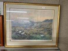 Gilt framed print of ptarmigan in the scottish highlands by C.S.Jodd 1972