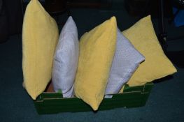 5x Coloured Cushions