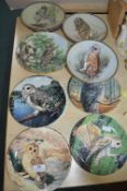 Owl Wall Plates Including Wedgwood etc.