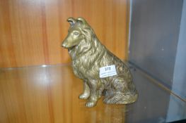Brass Collie Dog