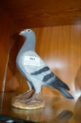 Composite Figure of a Pigeon