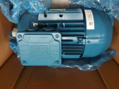 WEG W21 Premium Motor