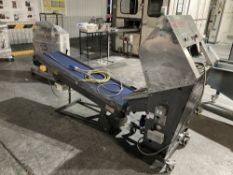 Rypak Bag Sealer & Incline Conveyor