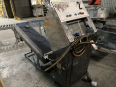 Rypak Bag Sealer & Incline Conveyor