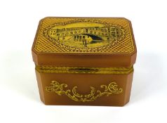 A 19th century French opaline bronze mounted dore box