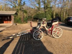 VICTORIA to suit a single horse between 14.2–15.2hh.