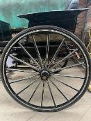 WELL BOTTOM GIG by Constable of Fairford, Gloucestershire, to suit 14.2hh.