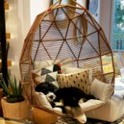 1 x MOROSO Suspended Cacoon Geometric Swing Armchair - Designed by Patricia Urquiola - RRP £2,