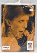 1 x DAVID BOWIE in Orange Logo Short Sleeve Men's T-Shirt by Impact Icon David Bowie Archive