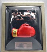 1 x Signed Autographed ROY JONES JR. Everlast Boxing Glove - Professionally Framed and Mounted