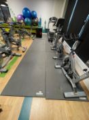 6 x Escape Gym Mats - Dimensions: 200 x 100 cms