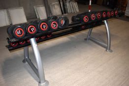 22 x Escape Dumbell Weights with Stand