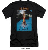 1 x DEF LEPPARD High and Dry Logo Short Sleeve Men's T-Shirt by Gildan - Size: Medium - Colour: