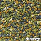1 x BRINK & CAMPMAN 'Stone' Colourful Tufted Loop Pile 100% Pure New Wool Carpet Rug in Green
